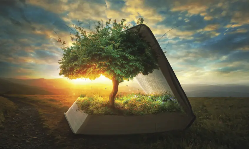 Rooted in Scripture: A Theological Framework for Health